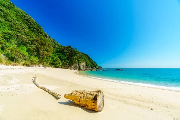 Rama Una Playa Tropical Con Agua Turquesa Arena Blanca Parque —  Fotos de Stock