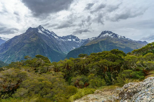 Hiking Mountains Key Summit Track Southern Alps New Zealand — Stock Photo, Image