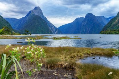 Yeni Zelanda 'nın güneyindeki fiyort milli parkında doğal harikalar diyarına doğru yükselen zirveler.