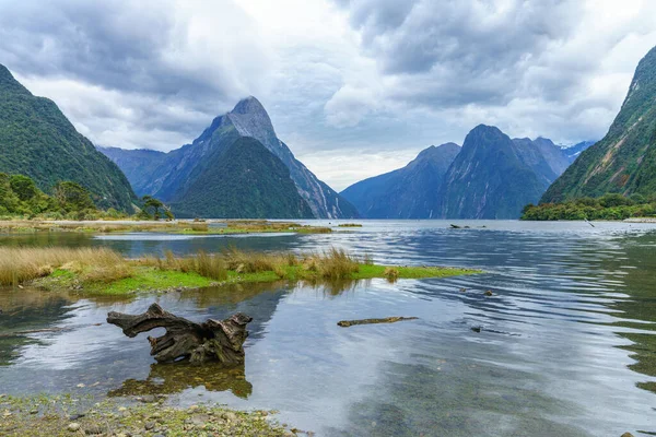 Toronymagas Csúcsok Természetes Csoda Milford Hang Fjordland Nemzeti Park Délvidéken — Stock Fotó