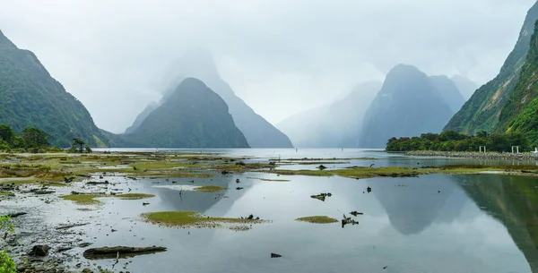 Гори Тумані Під Мілфордським Звуком Новій Зеландії — стокове фото