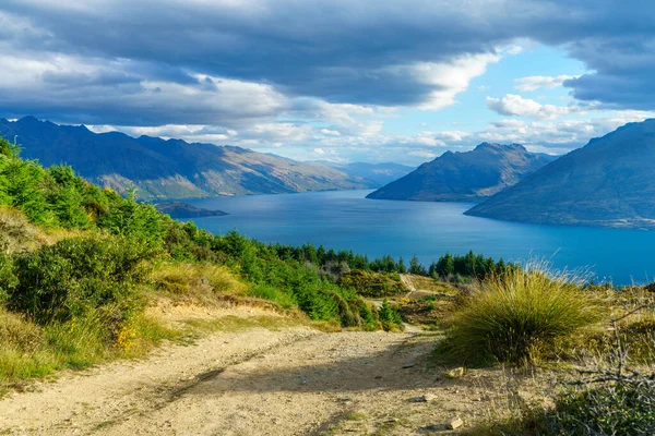 Пішохідна Прогулянка Королівському Пагорбу Над Озером Вартіпу Квінстауні Новій Зеландії — стокове фото