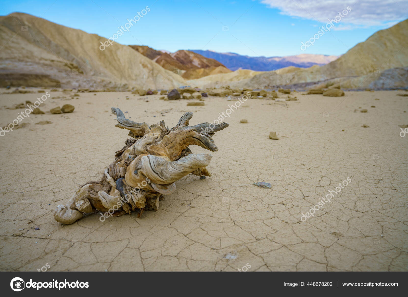 Hikink Golden Canyon Gower Gulch Circuit Death Valley National Park Stock  Photo by ©christian__b 448678202