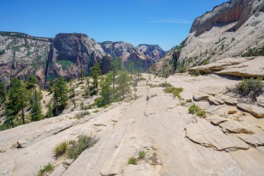 Amerika 'daki Zion Ulusal Parkı' nın batı yakasında yürüyüş.