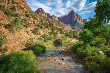 Amerika 'daki Zion Ulusal Parkı' ndaki parus patikasının bekçisi.