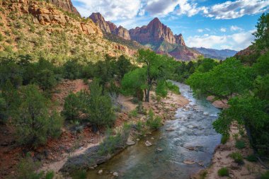 Amerika 'daki Zion Ulusal Parkı' ndaki parus patikasının bekçisi.