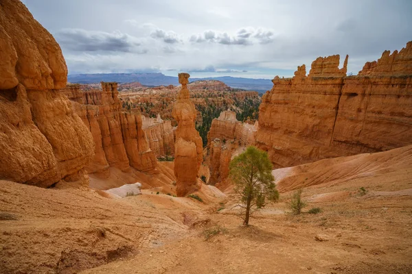 Caminhadas Trilha Borda Parque Nacional Bryce Canyon Utah Nos Eua — Fotografia de Stock