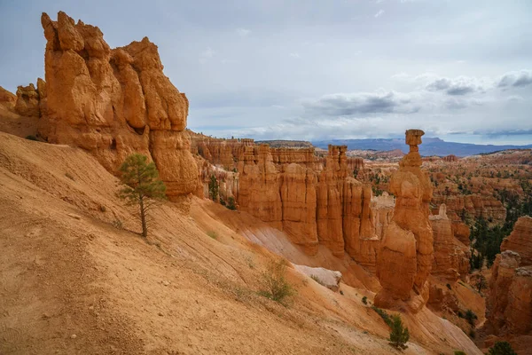 Caminhadas Trilha Borda Parque Nacional Bryce Canyon Utah Nos Eua — Fotografia de Stock