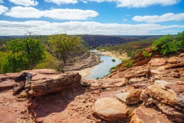 Kanyonda yürüyüş. Natures pencere döngüsü patikası, Kalbarri Ulusal Parkı, Batı Avustralya