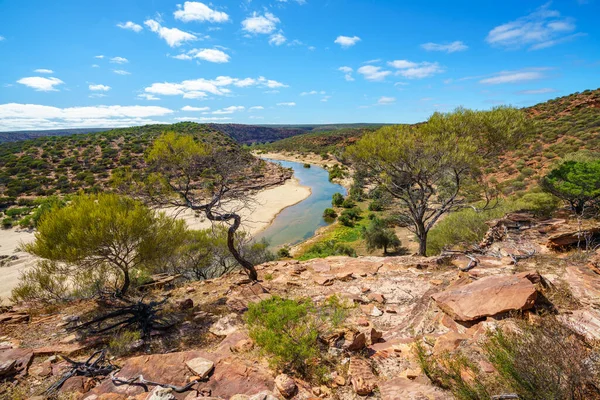 Caminando Por Cañón Sendero Ventana Naturalezas Parque Nacional Kalbarri Australia — Foto de Stock