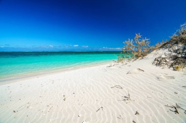 Turkuaz körfez sahilinde beyaz kum ve turkuaz su, Cape Range, Batı Avustralya