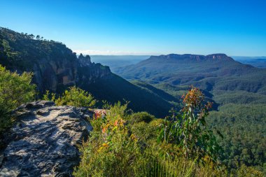 Wollumai gözcülük, Blue Mountain Ulusal Parkı, Katoomba, Yeni Güney Galler, Avustralya