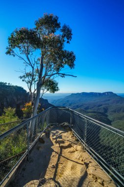 Wollumai gözcülük, Blue Mountain Ulusal Parkı, Katoomba, Yeni Güney Galler, Avustralya