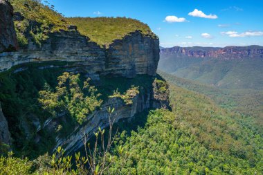 Minber rock pistinde yürüyüş, Mavi Dağlar Ulusal Parkı, Yeni Güney Galler, Avustralya