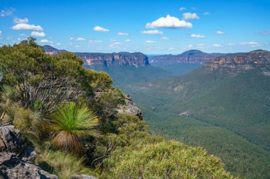 Kürsü kaya gözcüsü, mavi dağlar ulusal park, Yeni Güney Galler, Avustralya