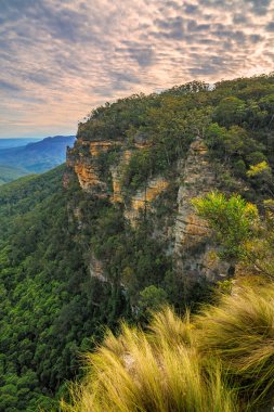 Blue Mountain Ulusal Parkı 'nda, Yeni Güney Galler' de, Avustralya 'da tepede yürüyüş.