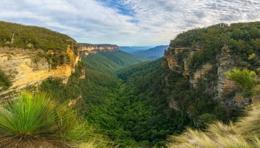 Blue Mountain Ulusal Parkı 'nda, Yeni Güney Galler' de, Avustralya 'da tepede yürüyüş.
