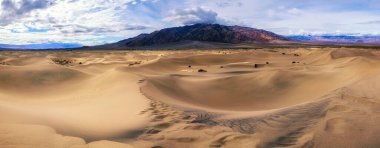 Kaliforniya 'daki Ölüm Vadisi Ulusal Parkı' ndaki mesquite düz kum tepeleri.
