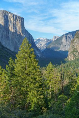 Yosemite Ulusal Parkı 'ndaki tünel manzarası, ABD' deki Kaliforniya.