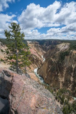 Amerika, Wyoming 'in kuzey kıyısından Büyük Sarı Kanyon.