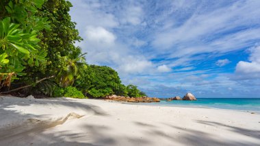 Turkuaz su, granit kayalar ve tropik sahildeki beyaz kumda palmiye ağaçları Seyşeller 'deki Anse Lazio' da.