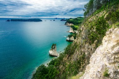 Yukarıdan bak. Katedral Koyu, Coromandel, Yeni Zelanda kıyı şeridi panoraması