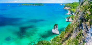 Katedral Koyu 'ndaki kayalıklardan panoramik manzara, Coromandel Yarımadası, Yeni Zelanda