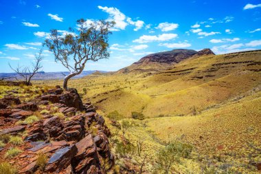 Batı Avustralya 'daki Karijini Ulusal Parkı' nda Bruce Dağı 'nda yürüyüş.