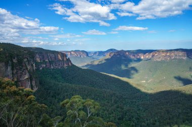 Kadehler gözcülük yapıyor, Blue Mounts Ulusal Parkı, Avustralya