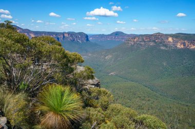 Mahe 'deki Cennet Sahili Anse Bazarkası. Beyaz kum, turkuaz su, palmiye ağaçları, granit kayalar, seyşeller.