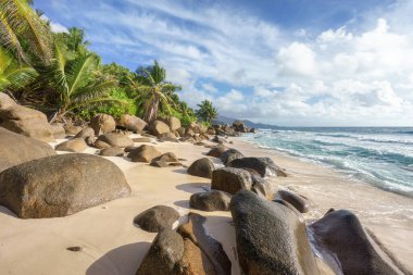 Güzel tropikal plaj anse marie-louise granit kayalar ve Seyşeller 'in kumlarında palmiye ağaçları