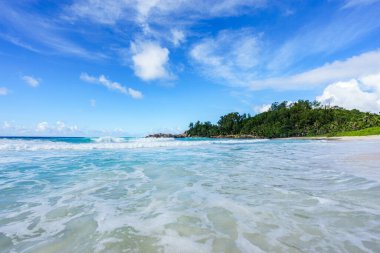 Engebeli granit kayaları, beyaz kumları, ormandaki palmiye ağaçları ve Seyşeller 'deki polis koyundaki Hint okyanusunun turkuaz suyu ile güzel ve vahşi tropikal plajlar.