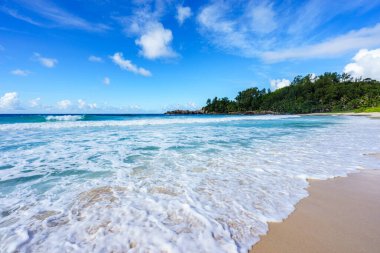 Engebeli granit kayaları, beyaz kumları, ormandaki palmiye ağaçları ve Seyşeller 'deki polis koyundaki Hint okyanusunun turkuaz suyu ile güzel ve vahşi tropikal plajlar.