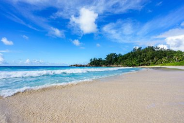 Engebeli granit kayaları, beyaz kumları, ormandaki palmiye ağaçları ve Seyşeller 'deki polis koyundaki Hint okyanusunun turkuaz suyu ile güzel ve vahşi tropikal plajlar.