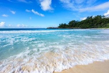 Engebeli granit kayaları, beyaz kumları, ormandaki palmiye ağaçları ve Seyşeller 'deki polis koyundaki Hint okyanusunun turkuaz suyu ile güzel ve vahşi tropikal plajlar.