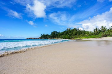 Engebeli granit kayaları, beyaz kumları, ormandaki palmiye ağaçları ve Seyşeller 'deki polis koyundaki Hint okyanusunun turkuaz suyu ile güzel ve vahşi tropikal plajlar.