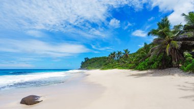 Mahe 'deki Cennet Sahili Anse Bazarkası. Beyaz kum, turkuaz su, palmiye ağaçları, granit kayalar, seyşeller.