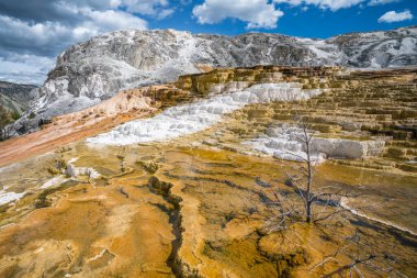 ABD 'de Wyoming' deki Yellowstone Ulusal Parkı 'ndaki Mamut Kaplıcaları' nın hidrotermal alanları