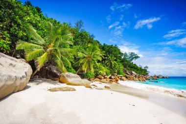Seyşel Adaları 'ndaki beyaz kumsalda palmiye ağaçları ve granit kayaları