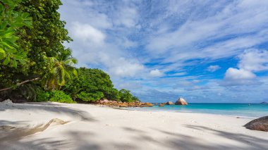 Turkuaz su, granit kayalar ve tropik sahildeki beyaz kumda palmiye ağaçları Seyşeller 'deki Anse Lazio' da.