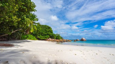 Turkuaz su, granit kayalar ve tropik sahildeki beyaz kumda palmiye ağaçları Seyşeller 'deki Anse Lazio' da.