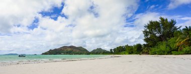 Seyşeller üzerinde beyaz kum, palmiye ağaçları ve turkuaz suyu olan açık cennet plajı. Sadece cennet....