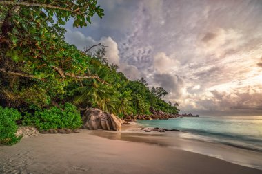 Praslin Adası 'ndaki Anse Georgette, Seyşel Adaları' ndaki cennet.