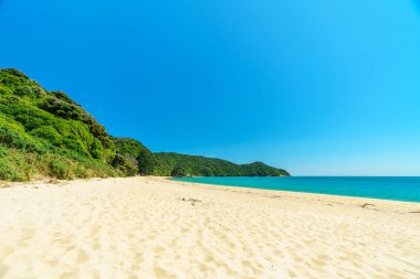 Yeni Zelanda 'daki Abel Tazman Ulusal Parkı' ndaki tropik plaj.