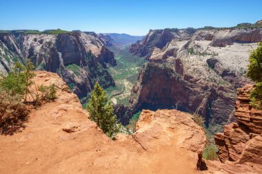 Amerika 'daki Zion Ulusal Parkı' ndaki gözlem noktasında yürüyüş.