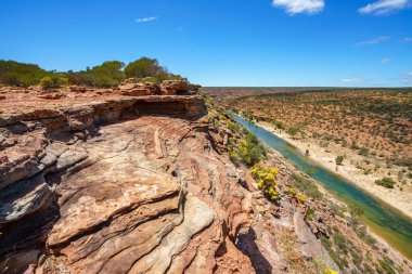 Kanyonda yürüyüş. Natures pencere döngüsü patikası, Kalbarri Ulusal Parkı, Batı Avustralya