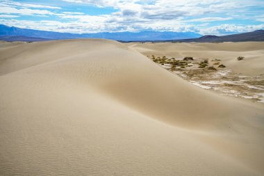 Kaliforniya 'daki Ölüm Vadisi Ulusal Parkı' ndaki mesquite düz kum tepeleri.