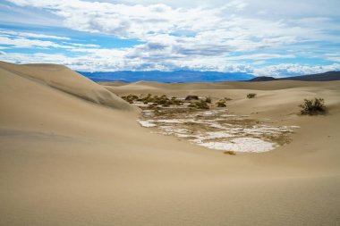 Kaliforniya 'daki Ölüm Vadisi Ulusal Parkı' ndaki mesquite düz kum tepeleri.