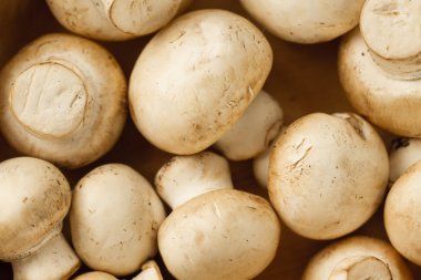 ahşap zemin, üzerine taze mantar yakın çekim