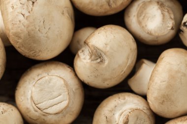 ahşap zemin, üzerine taze mantar yakın çekim